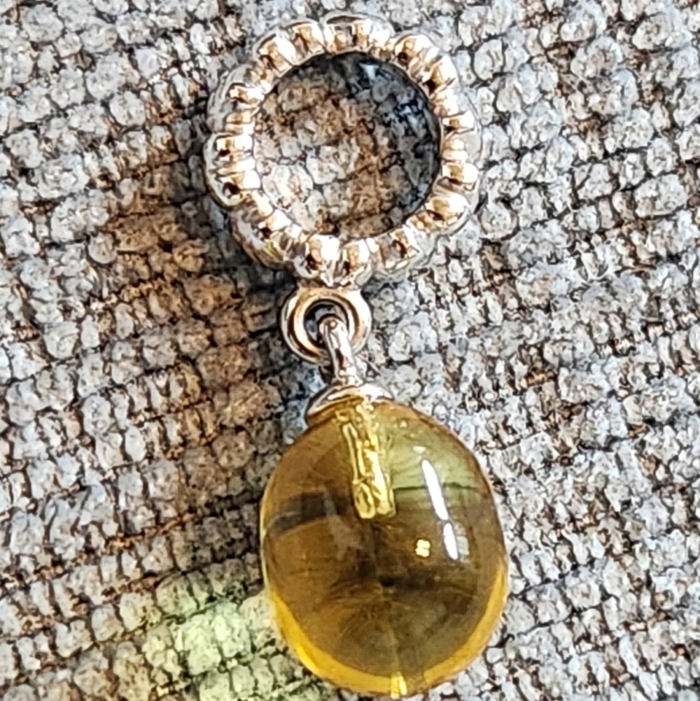 Endless Jewelry Sterling Silver November Success Charm - Picture 4 of 4